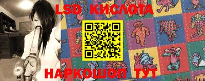 гашик Канаш